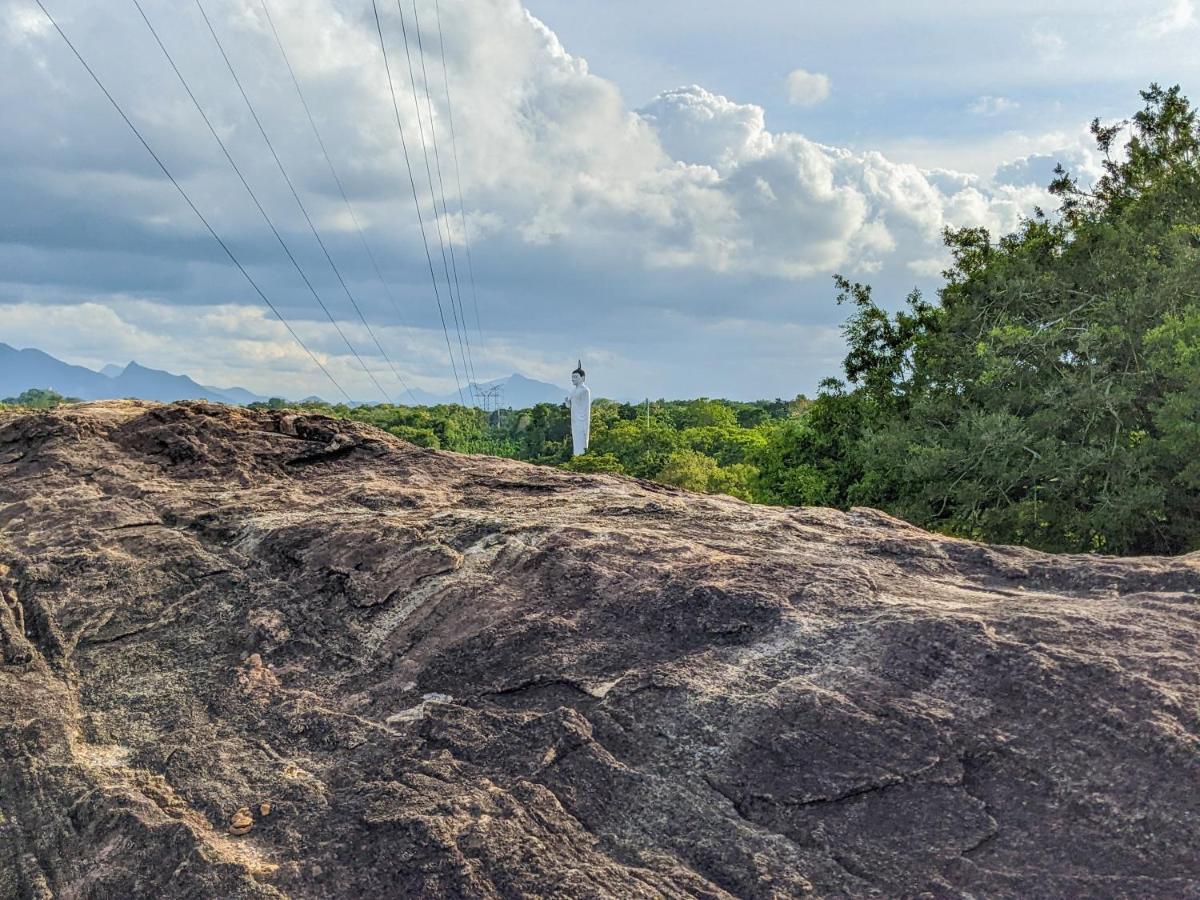 Choona Lodge 'View Of Sigiriya & Pidurangala With Sunrise' Exterior foto